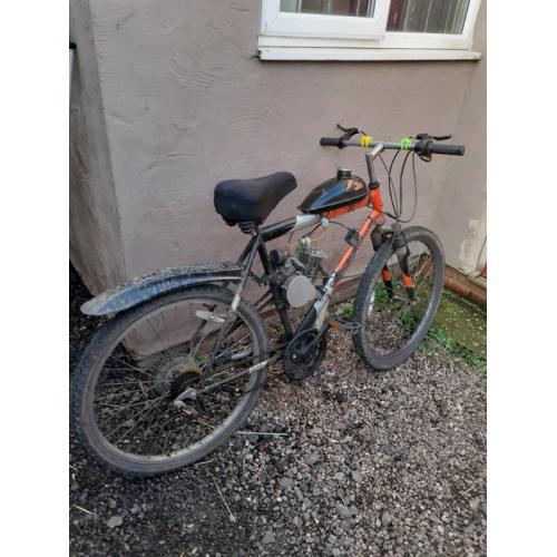 Petrol bike