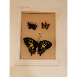 3D butterfly picture frame