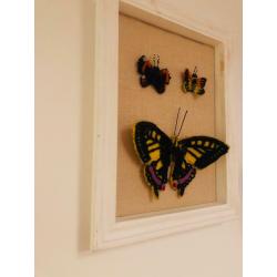 3D butterfly picture frame