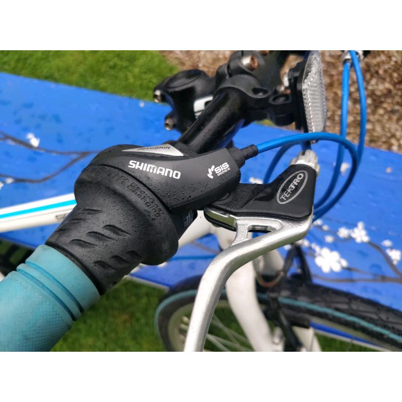 Carrera Saruna Junior Hybrid Bike - Blue/White