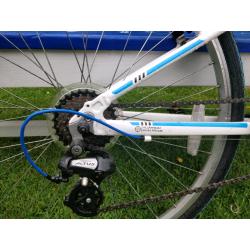 Carrera Saruna Junior Hybrid Bike - Blue/White