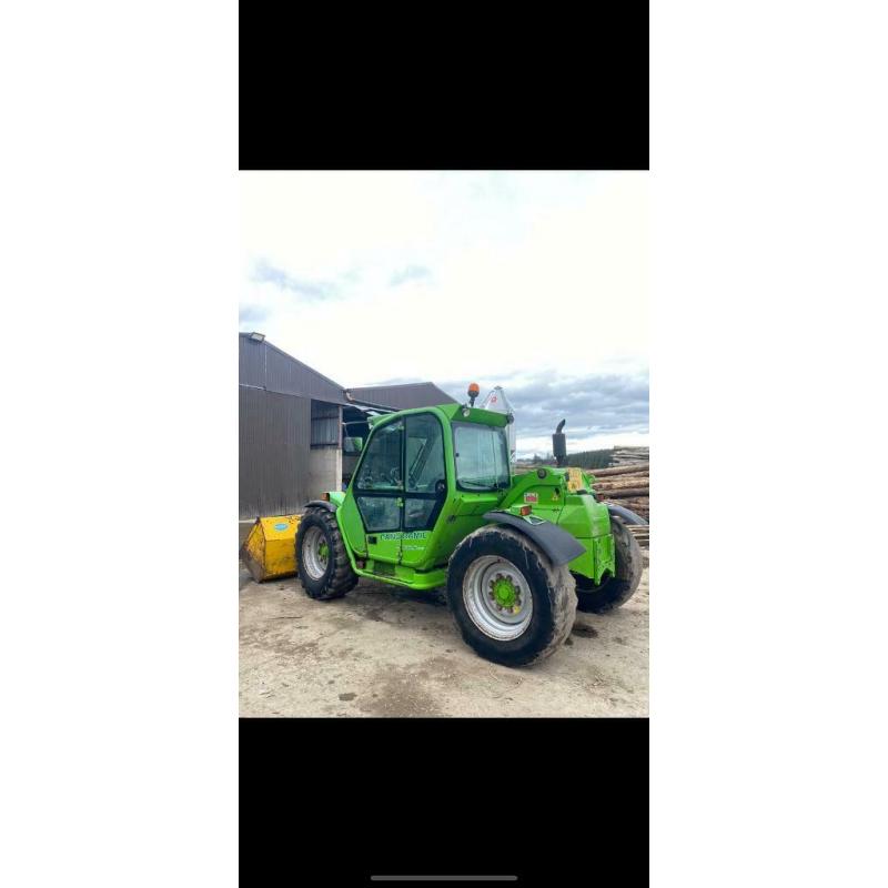 Merlo