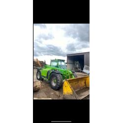 Merlo