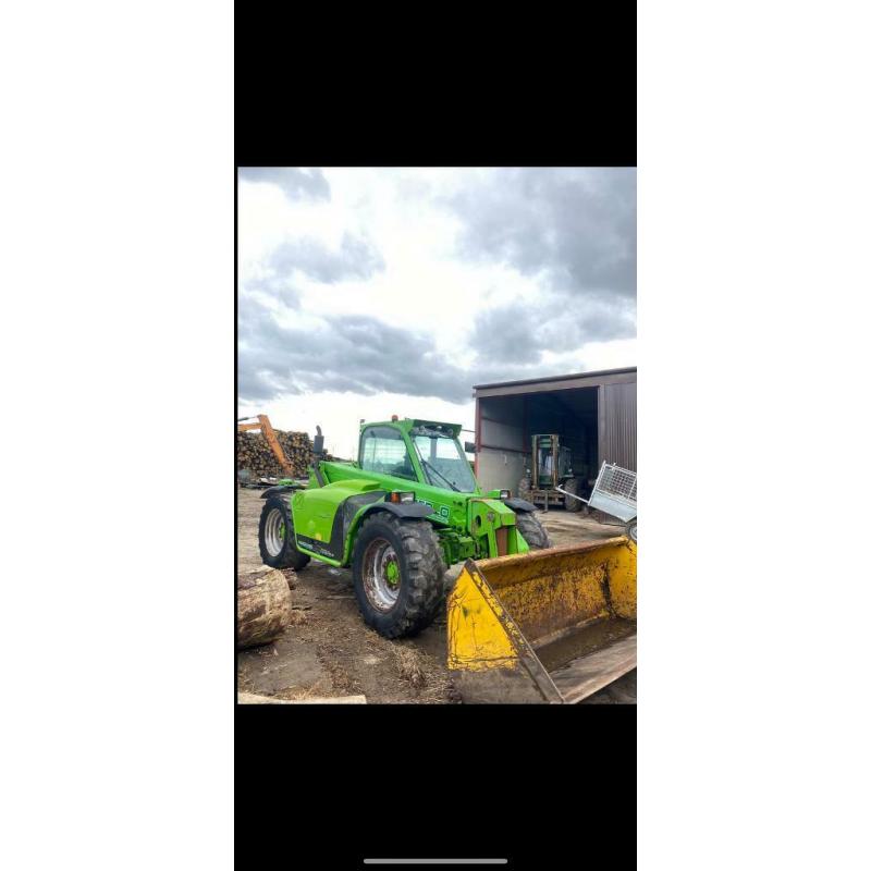Merlo