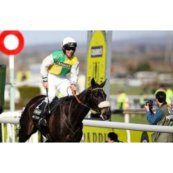 100% Free Horse Racing System+Today Only(Free Copy of The Legendary 36K Formula)
