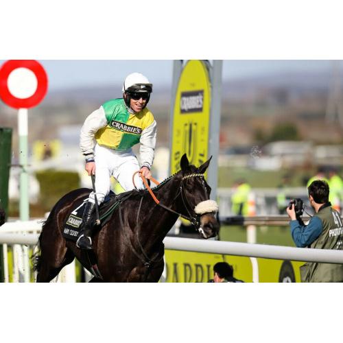100% Free Horse Racing System+Today Only(Free Copy of The Legendary 36K Formula)