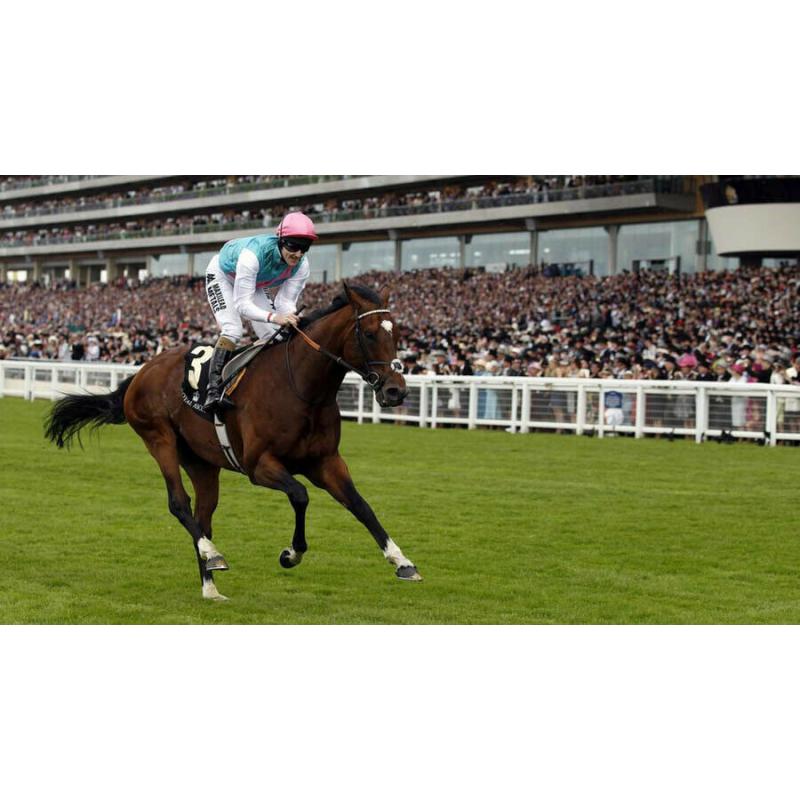 100% Free Horse Racing System+Today Only(Free Copy of The Legendary 36K Formula)