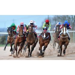 100% Free Horse Racing System+Today Only(Free Copy of The Legendary 36K Formula)