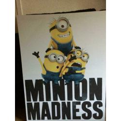 Minion Canvas