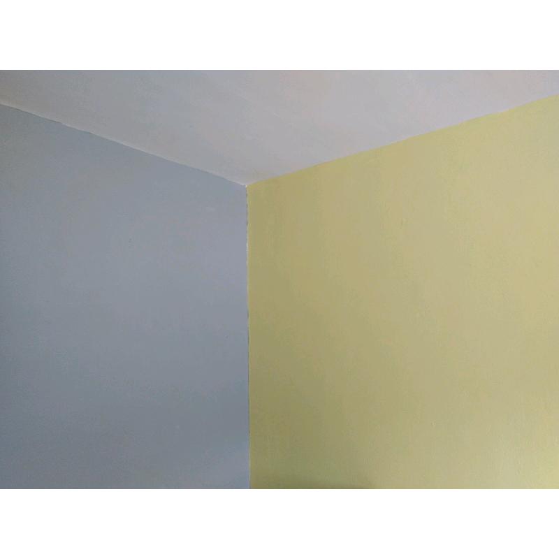 Painter decorator