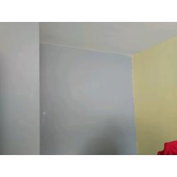 Painter decorator