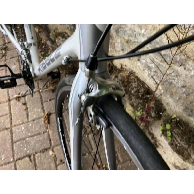 RibblE Carbon fibre