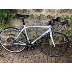 RibblE Carbon fibre