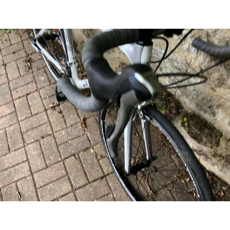 RibblE Carbon fibre