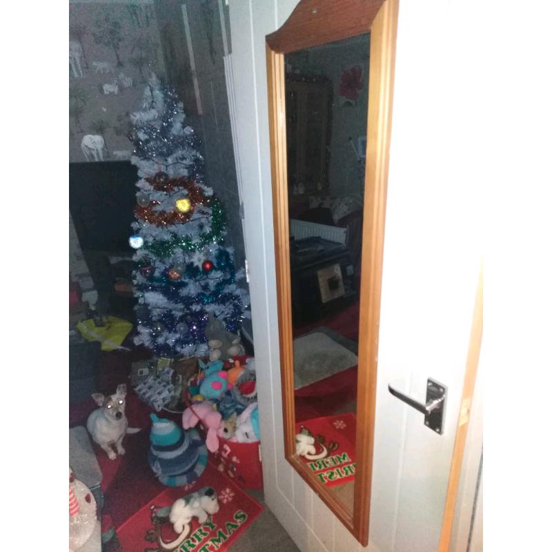 Free free mirror can stand or hang on the door