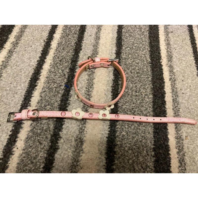 2 Pet Collars