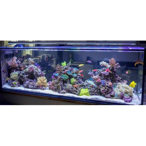 Reverse osmosis water for marine aquatics and salty.. please read all: