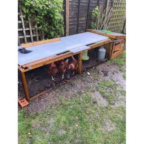 Chicken coop ,8 ft run in 2 half?s with 5 hens this years lay daily