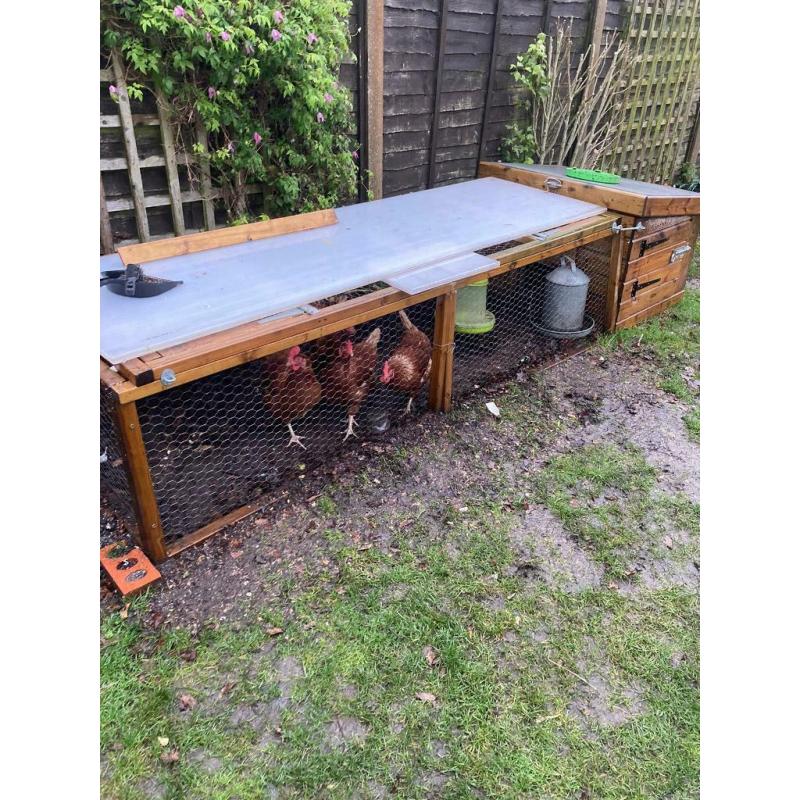 Chicken Coop run 8ft 5 hens