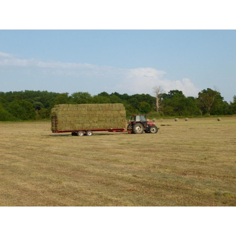 Small bale hay