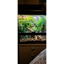 Reptile tank
