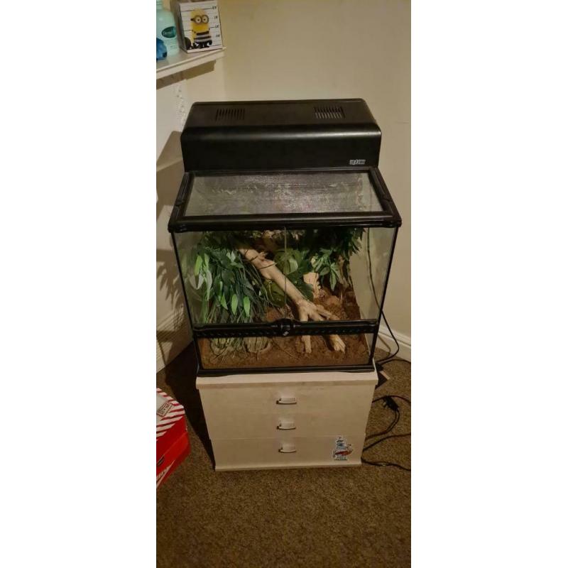 Reptile tank