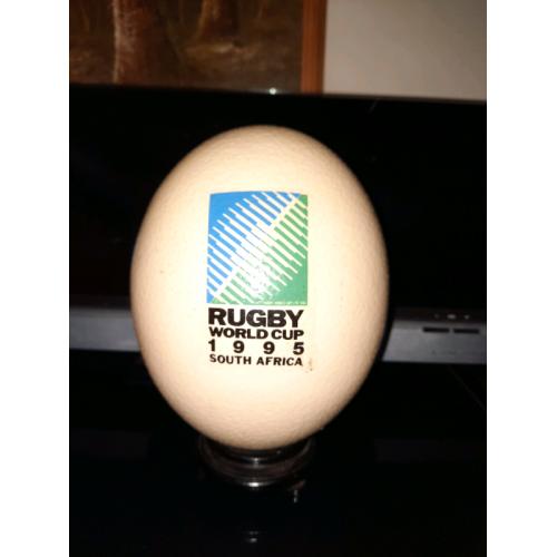 Rugby Ostrich Egg