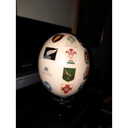 Rugby Ostrich Egg