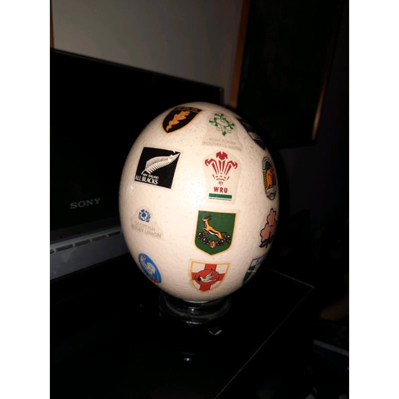 Rugby Ostrich Egg