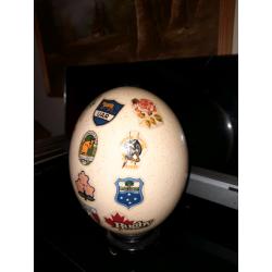 Rugby Ostrich Egg