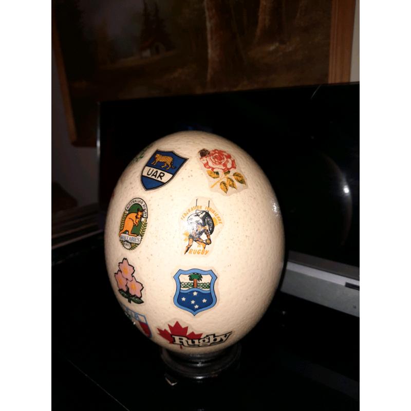 Rugby Ostrich Egg