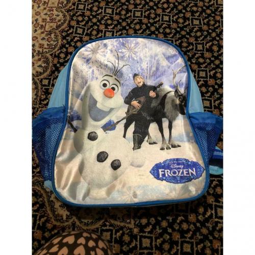 Back bag