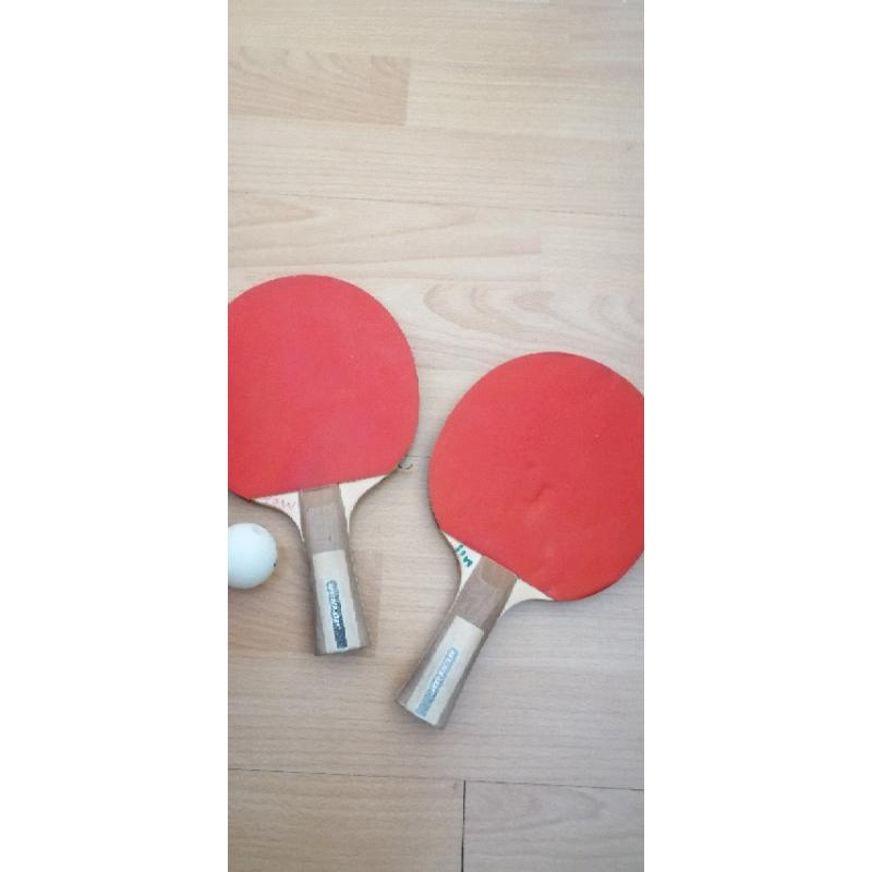 Table tennis bat's net balls