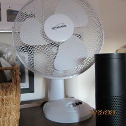 Oscillating Fan