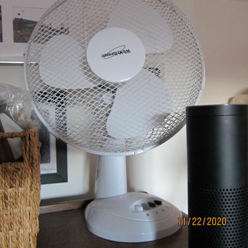 Oscillating Fan