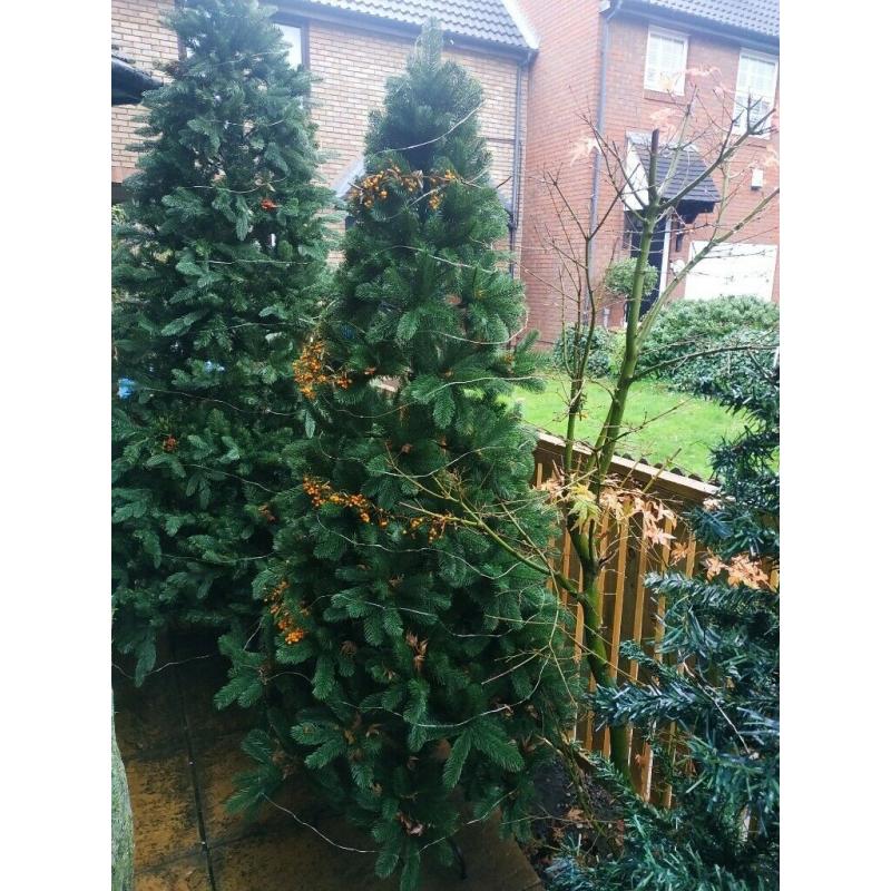 Christmas trees
