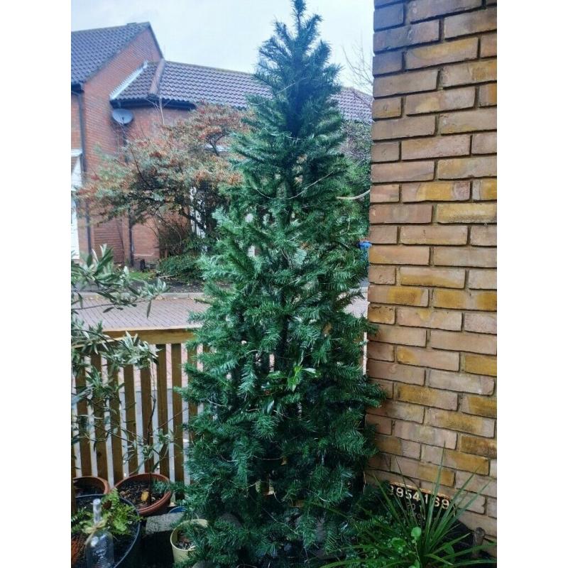 Christmas trees
