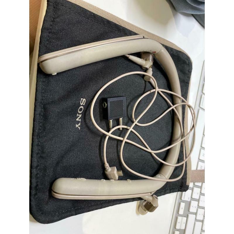 sony noise cancelling wireless earphone wi1000x beige
