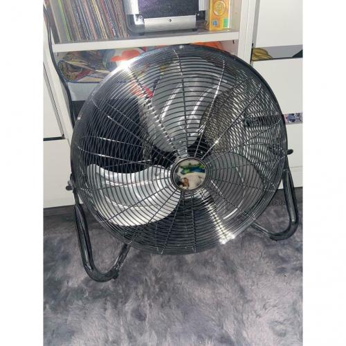 Fan
