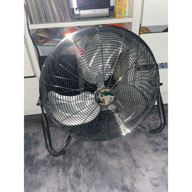 Fan
