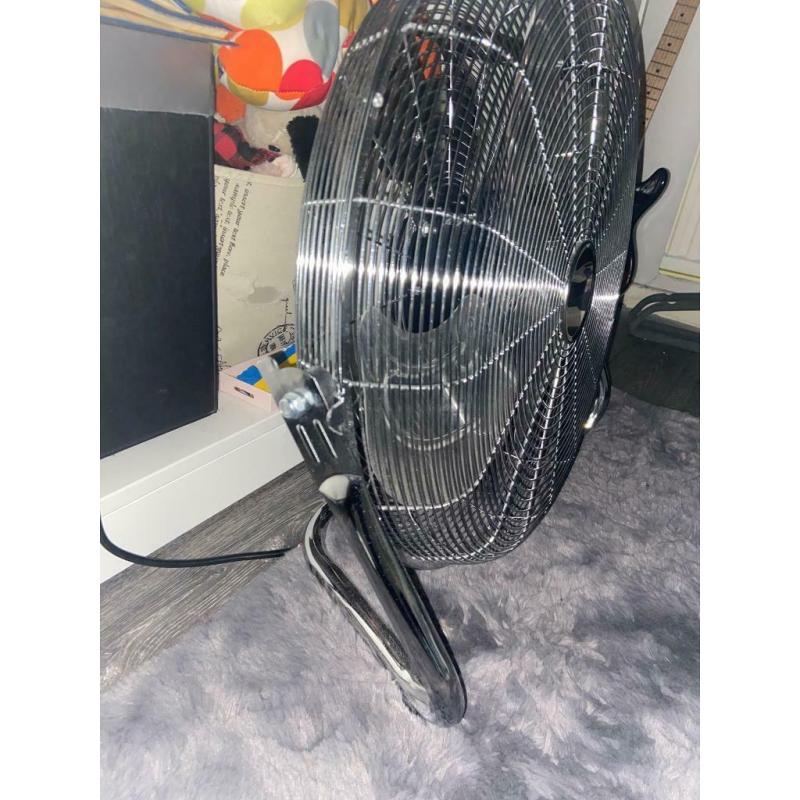 Fan