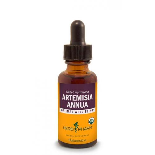 Artemisia Annua Liquid Extract