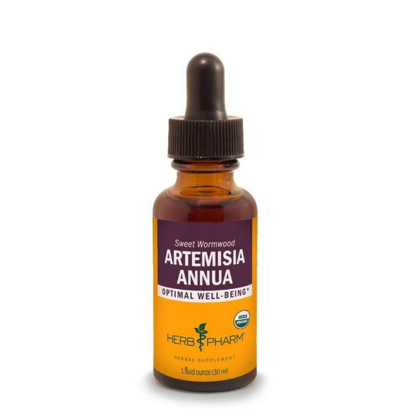 Artemisia Annua Liquid Extract