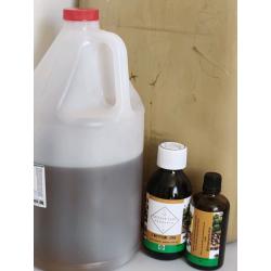 Wholesale 100% Black Castor oil