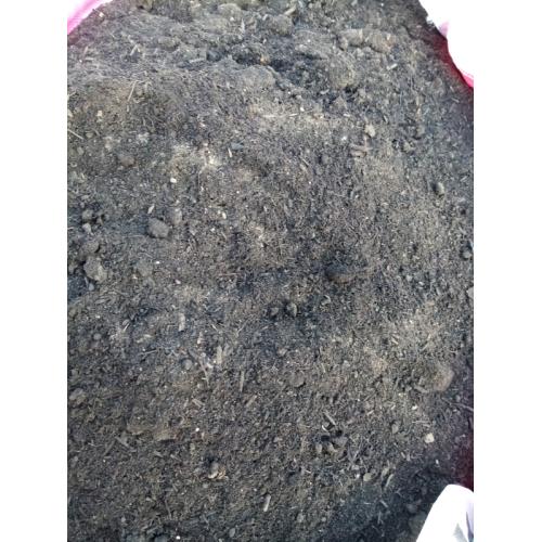 Compost