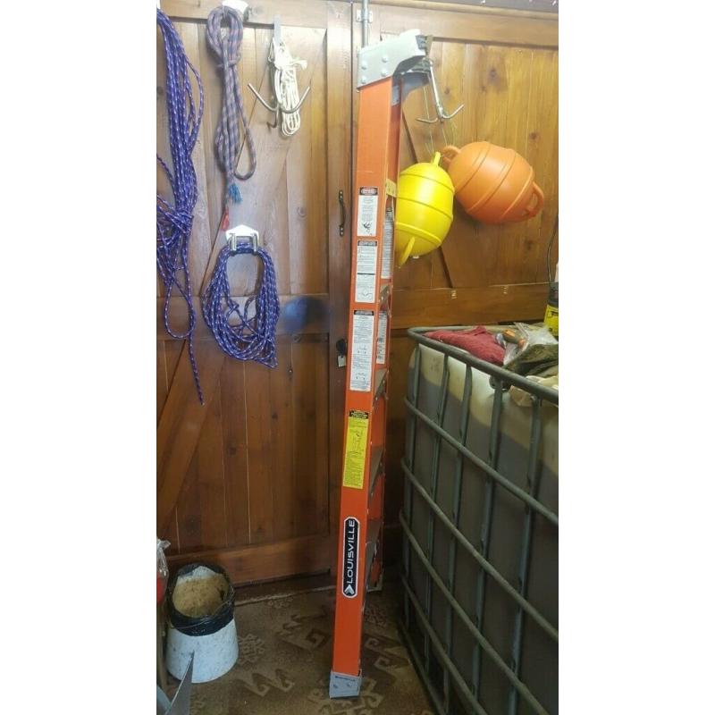 Single Piece Fiberglass Ladder