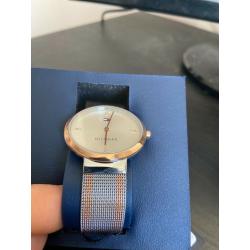 Ladies Tommy Hilfiger Watch
