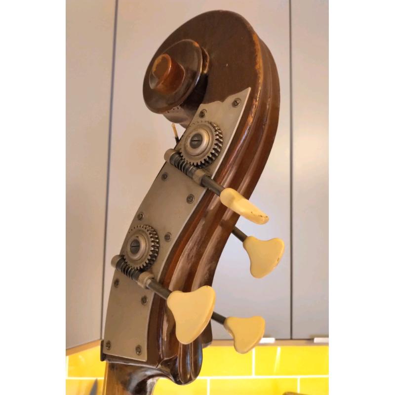Double bass, luthier set-up, professional instrument. Doublebass.