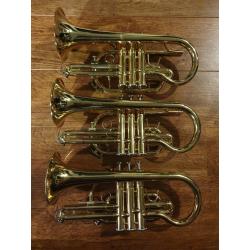 Jupiter 520 M Cornets x 3