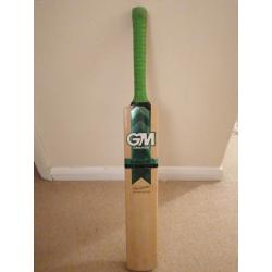 GM Duellist cricket bat